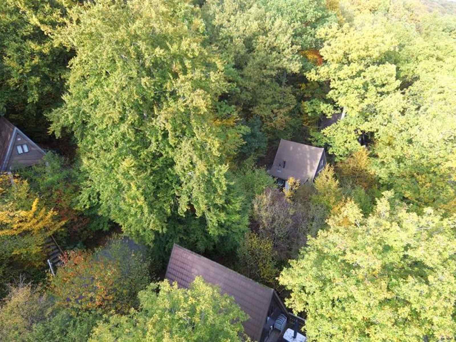 bungalowpark-sunclass-durbuy-vakantiepark-belgisch-luxemburg-durbuy-65c0bb03b6ff2